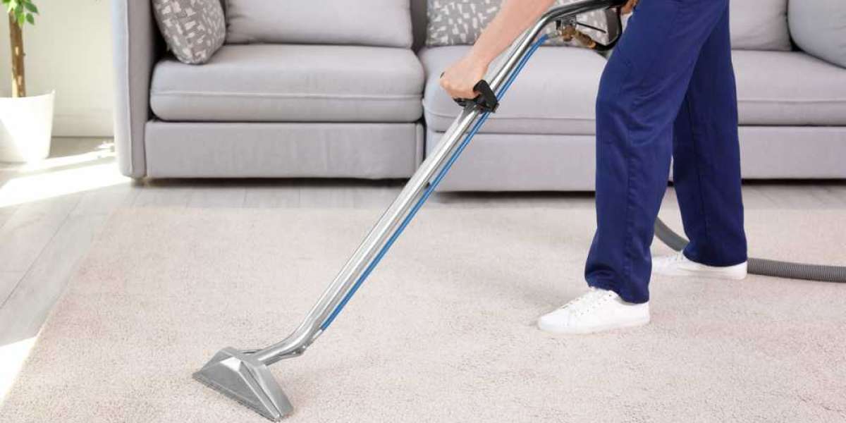 Efficiency and Effectiveness: Professional Carpet Cleaning Explained