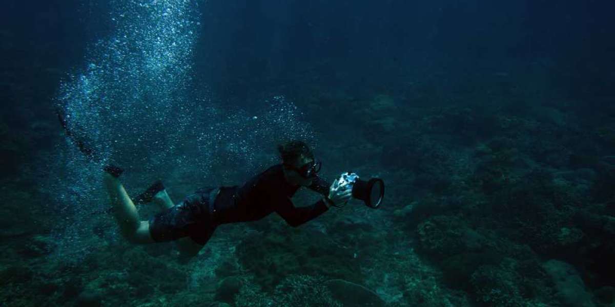 Diving Deep The Art and Science of Underwater Inspection