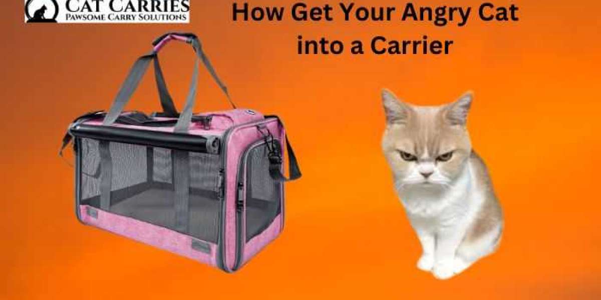 How to Get Your Angry Cat into a Carrier Safely