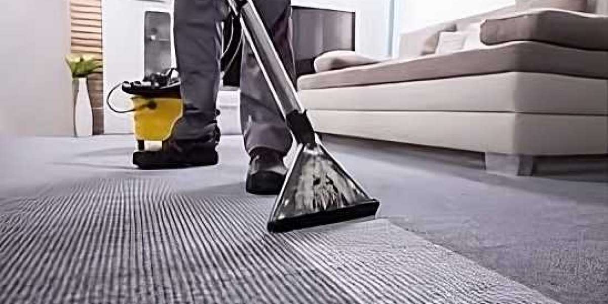 From Dust to Delight: Transform Your Carpets with Premium Cleaning Services