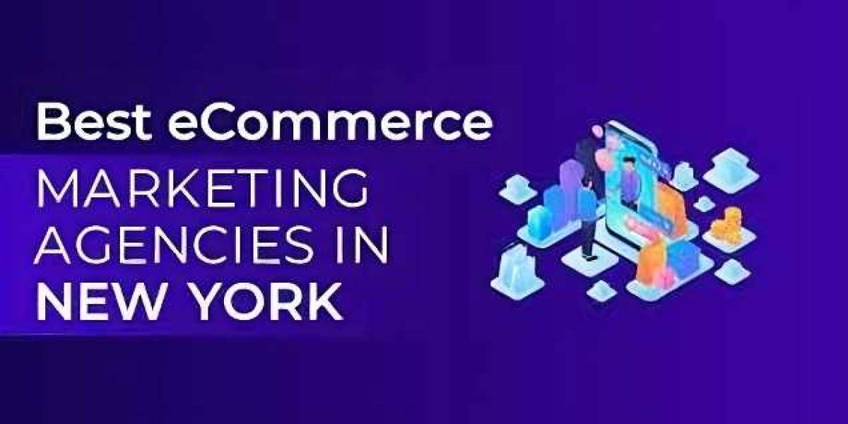 Maximize Your Digital Presence: Discover New York's Leading Ecommerce Agencies
