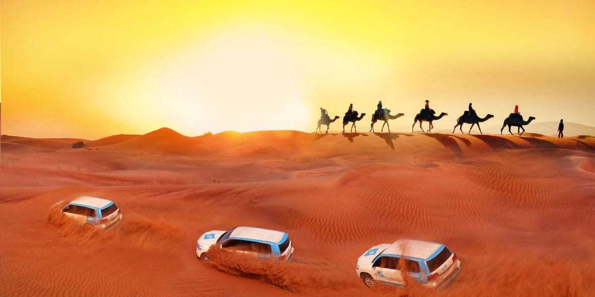 Exploring Dubai's Desert Beauty: A Comprehensive Guide to Desert Safaris
