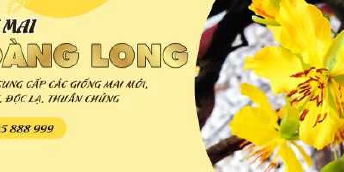 Ý Nghĩa Của Hoa Mai Vàng trong Văn Hóa Việt Nam