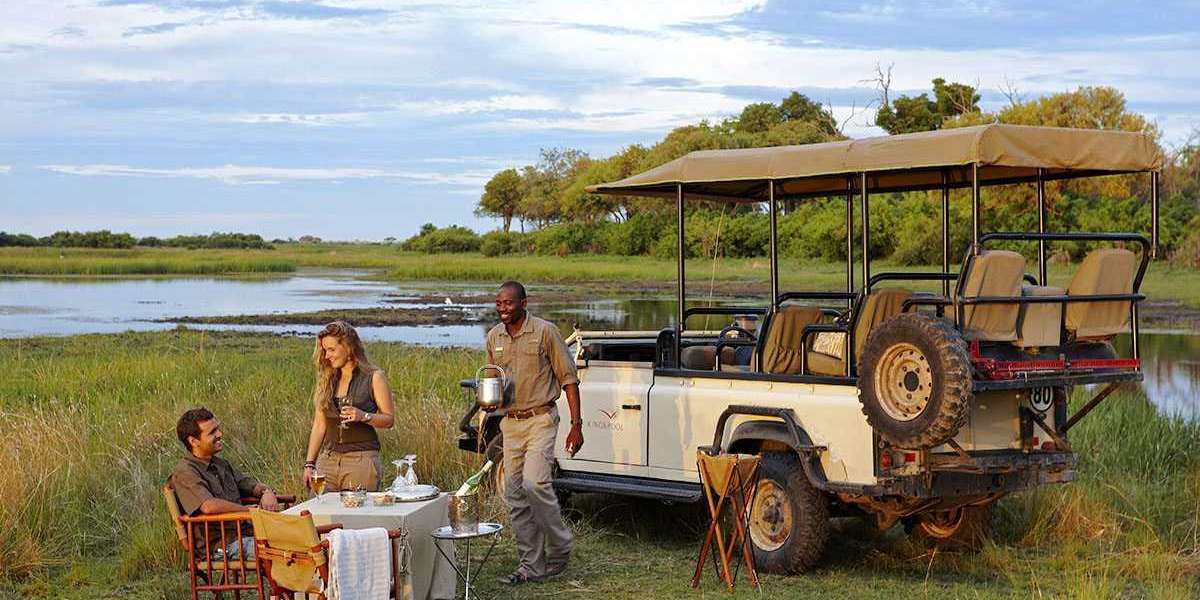 Tarangire National Park Safari Camps & Lodges