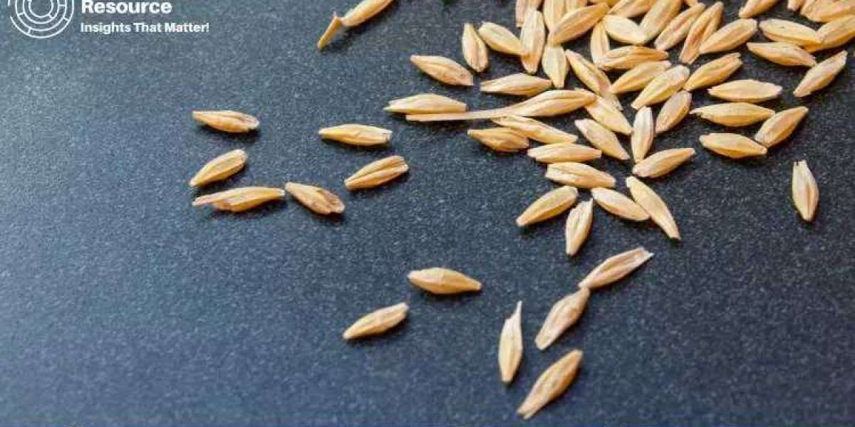 Malted Barley Production Process with Cost Analysis