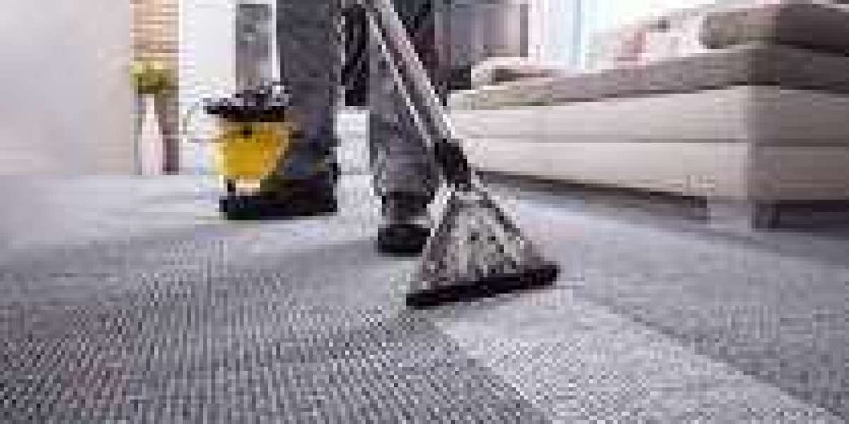 Revitalize Your Home with Top-Notch Carpet Cleaning Services