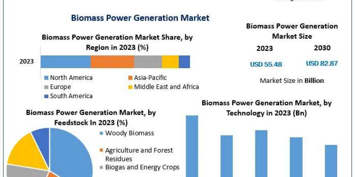 Biomass Power Generation Market Analysis of Key Trend, Industry Dynamics and Future Growth 2030