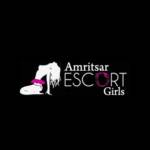 Amritsar Escort