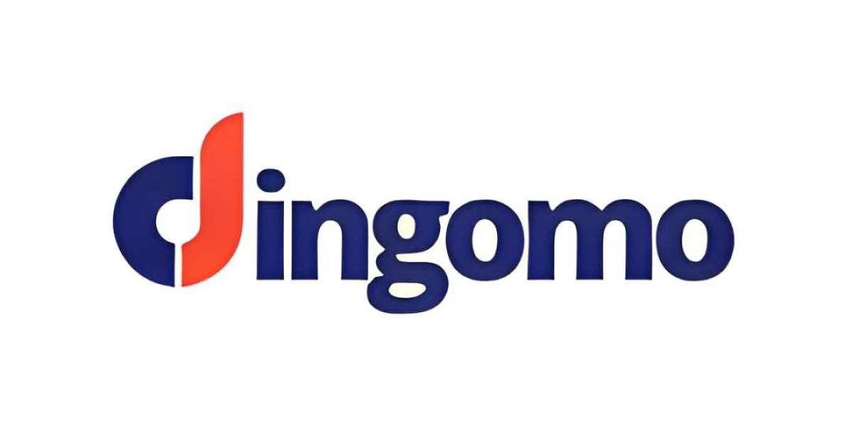 Exploring Dingomo Revolutionizing Digital Experiences