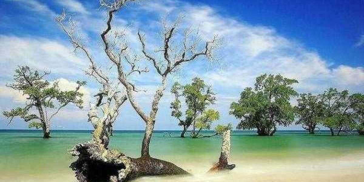 Menyusuri Keindahan Pantai Pasir Putih Lhok Mee, Aceh Besar