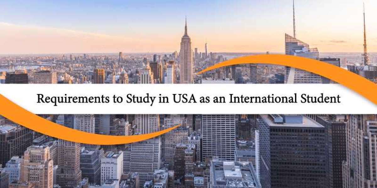 Top 10 Tips Every International Student Needs for Success in the USA