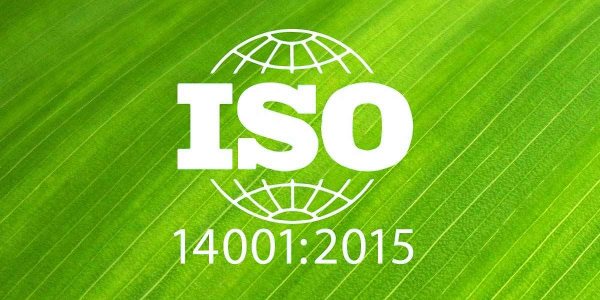 ISO 14001 and Environmental Impact Reduction