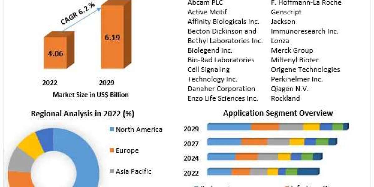 Research Antibodies Market Growth, Size, Revenue Analysis, Top Leaders and Forecast 2029