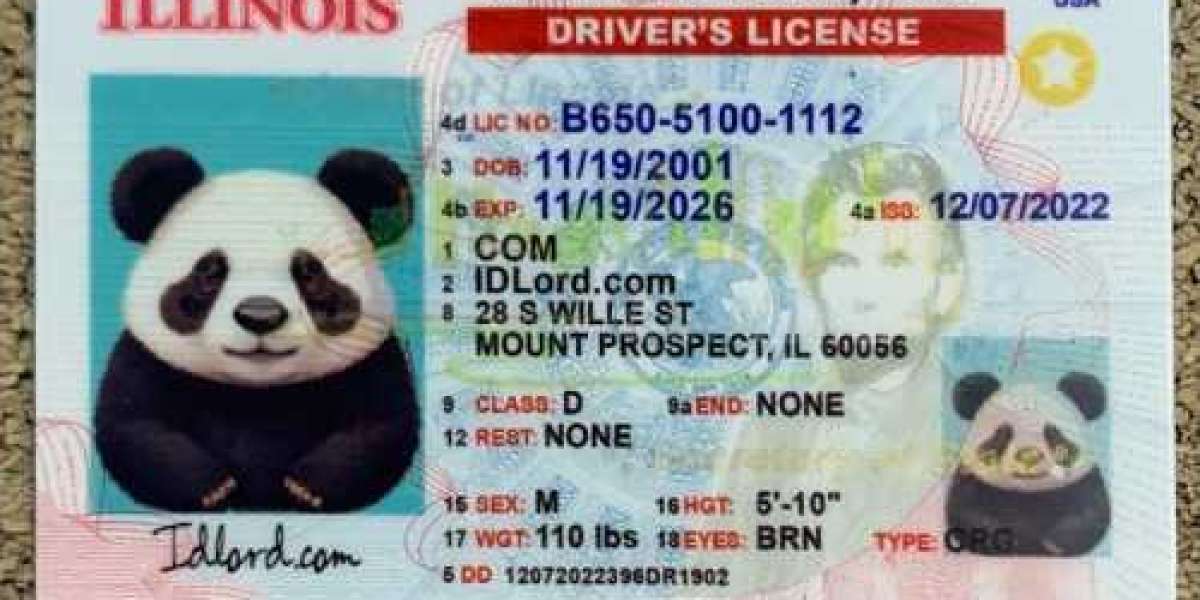 Discover the Difference Fake Illinois ID vs Real Illinois ID