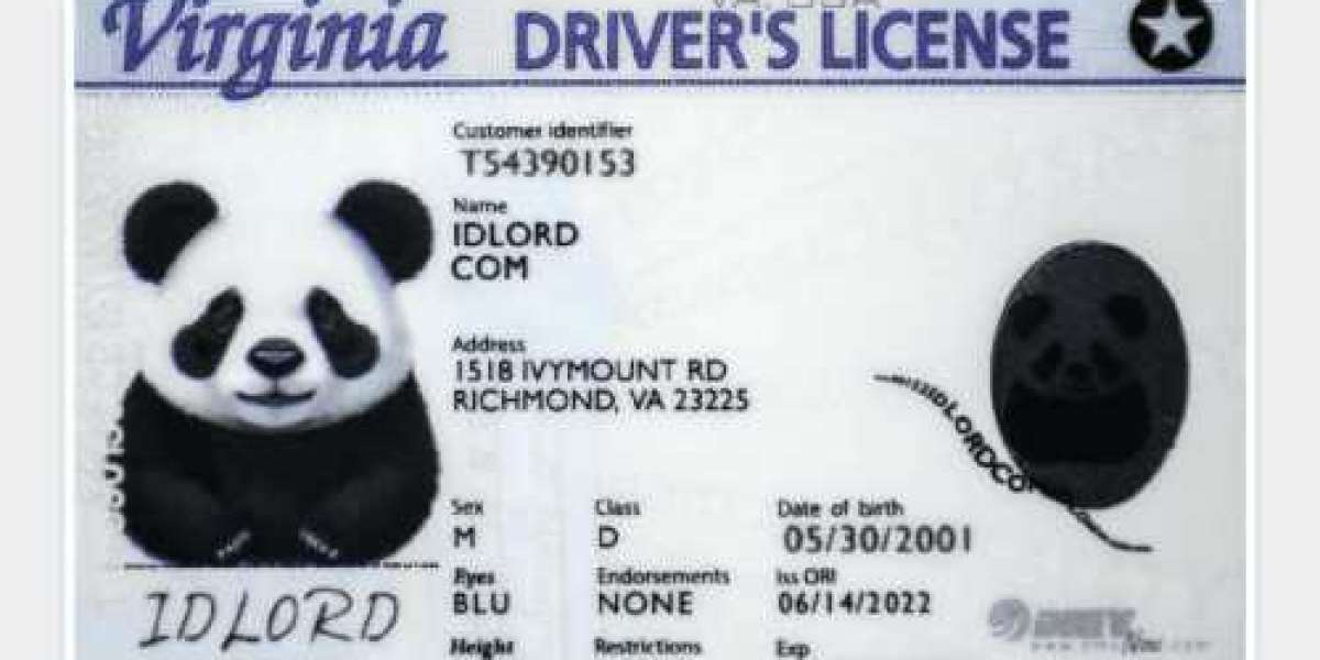 Unlock the Secrets to the Best Fake Virginia ID: Your Guide to IDLORD's Scannable Cards