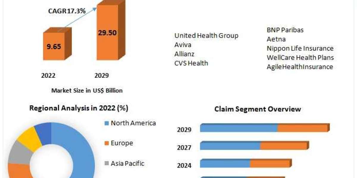 Healthcare Reimbursement Market Global Share, Segmentation, Analysis and Forecast 2029