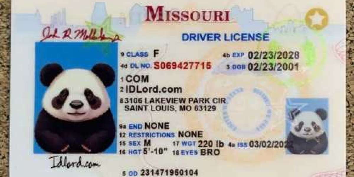 Discover the Top Source To Buy Fake ID: IDLORD