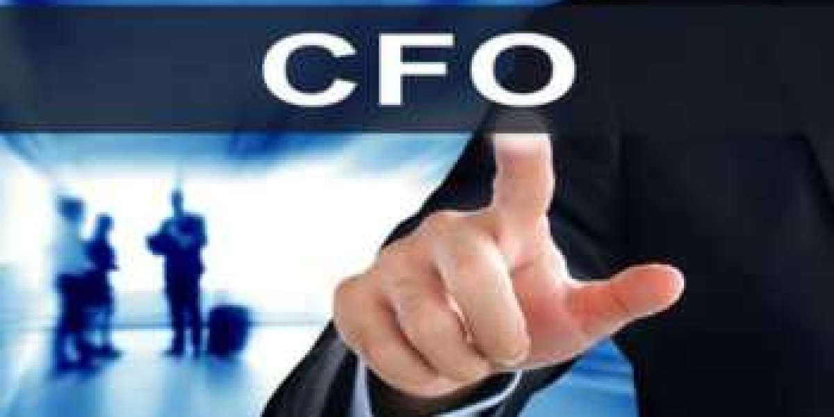 The Role of Virtual CFOs in Enhancing Small Business Financial Health