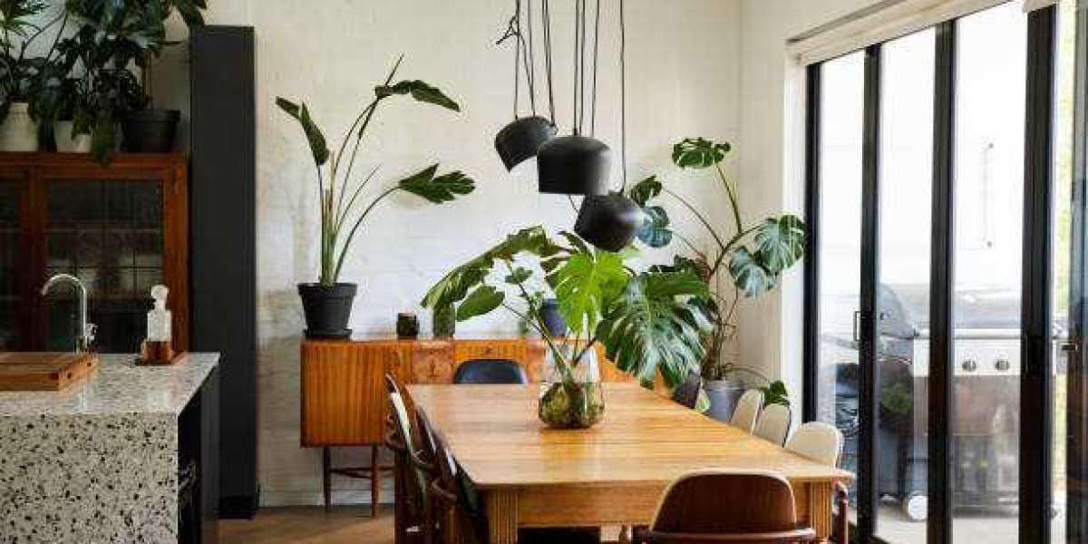 Plants in Interior Design by Archadia Furniture Change Your Area with Eco-Friendly Style