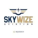 Skywize aviation