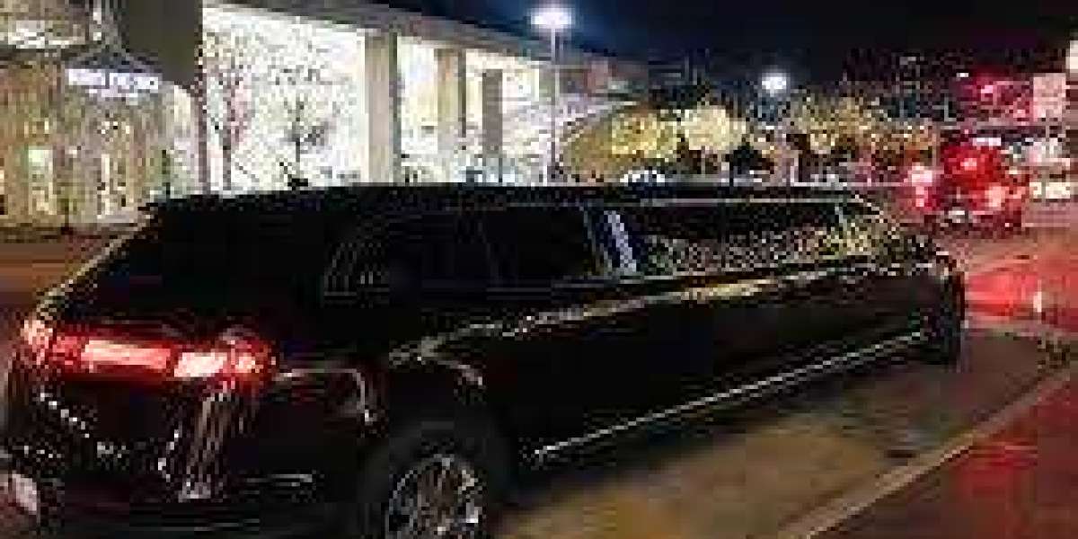 How to Plan the Best Night Out with a Party Bus Limo Service