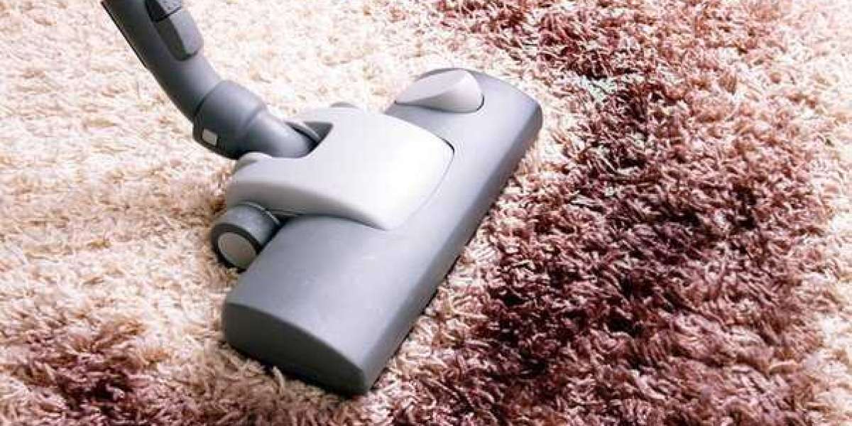 Choose the Right Carpet Cleaning Service in Burlington: With Fresh Maple