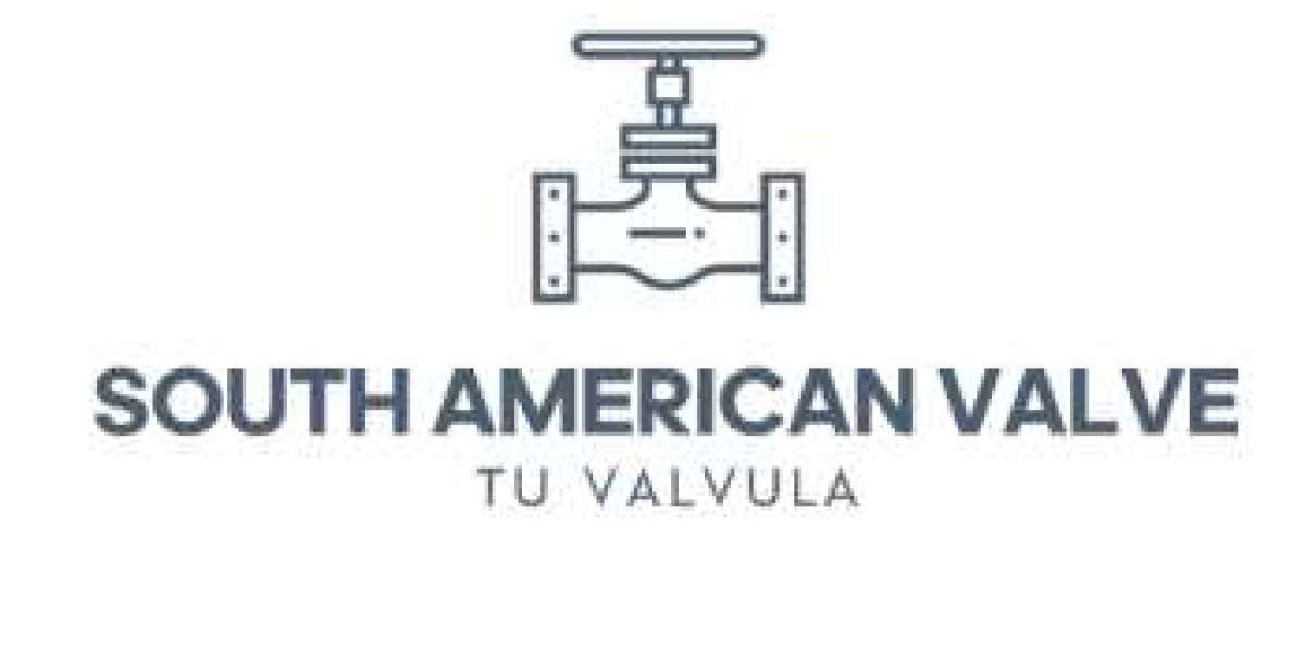 Valve Manufacturer and Supplier in South America