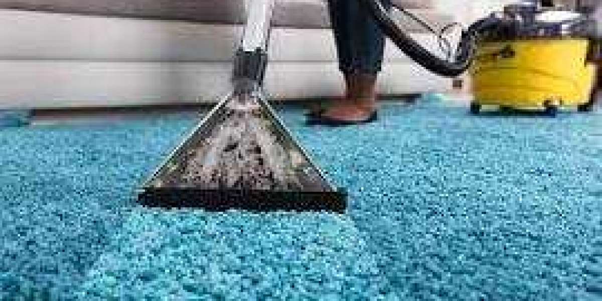 Professional Carpet Cleaning: A Pillar of Elegant Home Design