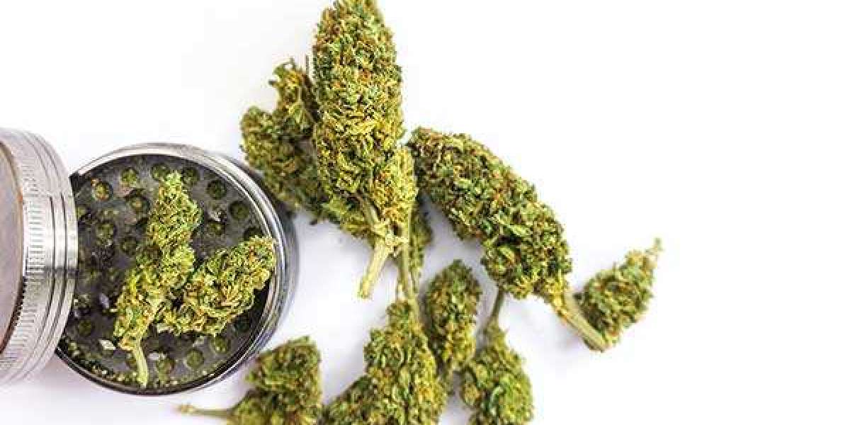 Your Go-To Guide for Finding the Strongest THC Flower in Dispensaries