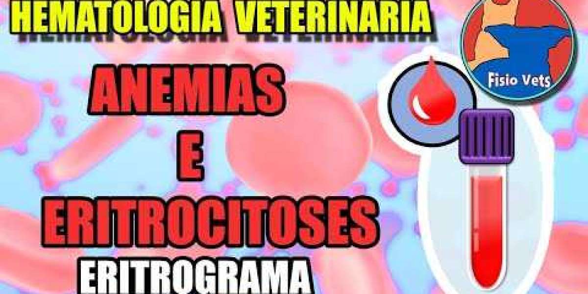 Exame Coproparasitológico Seriado em Cães: Essencial para a Saúde do Seu Melhor Amigo